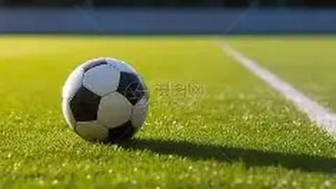 《K联赛大变革！27年历史首次扩军至14队，球员权益升级：欠薪两月即可启动违约金条款》