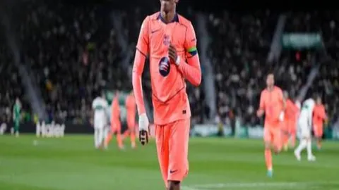 泰山球迷盛会：42家球迷团体齐聚，共助泰山砥砺前行！