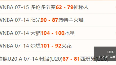 2026年度：文班亚马休赛期大放异彩，252亿续约再创辉煌